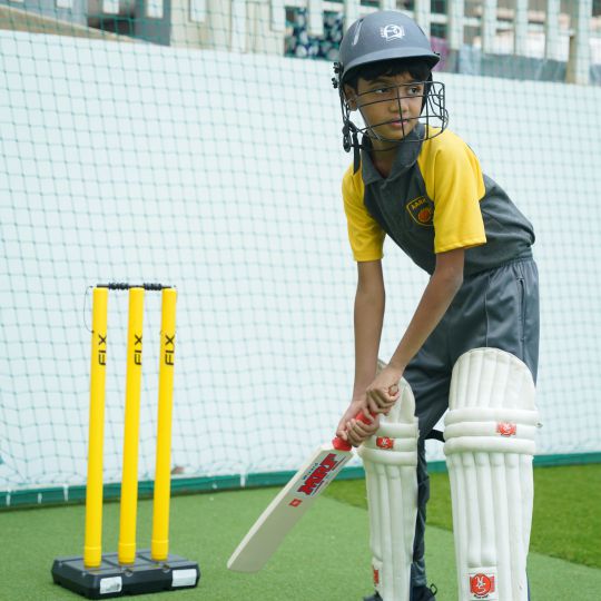Cricket Cricket