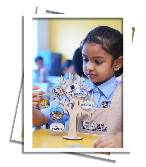 Section1_Home_ExploreCurriculum CBSE curriculum